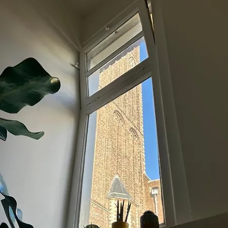 Monkey Tree Schiedam