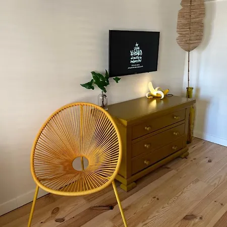 Monkey Tree Schiedam