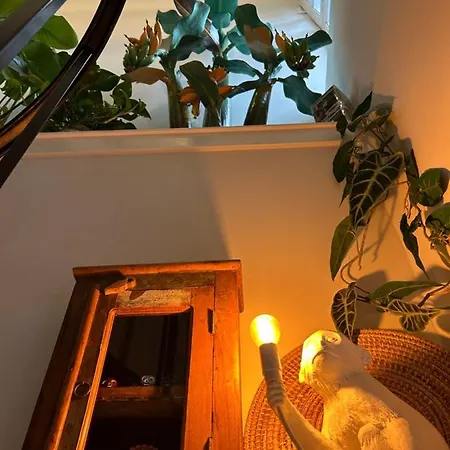 Monkey Tree Gæstehus Schiedam