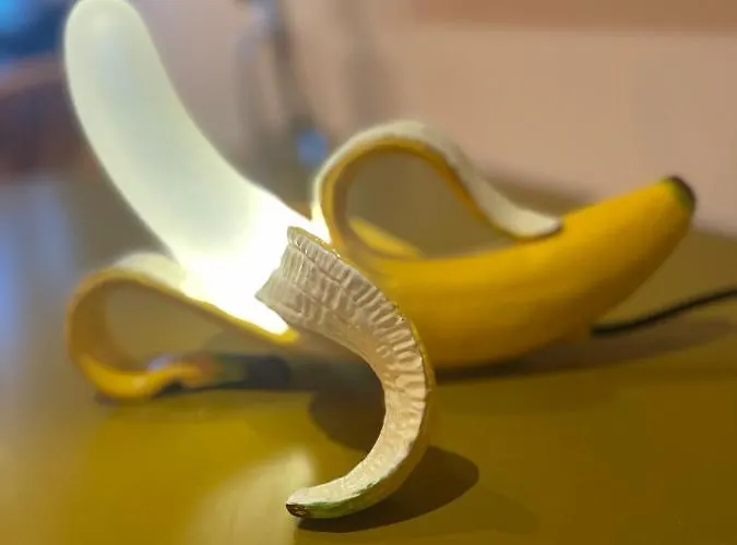 Monkey Tree Pensjonat