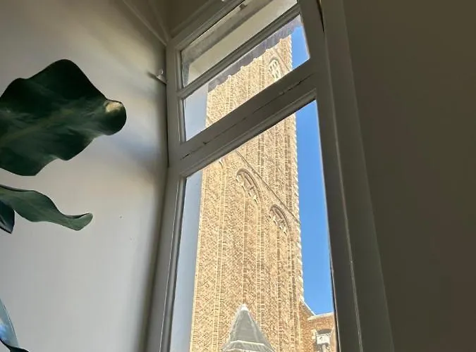 Monkey Tree Schiedam