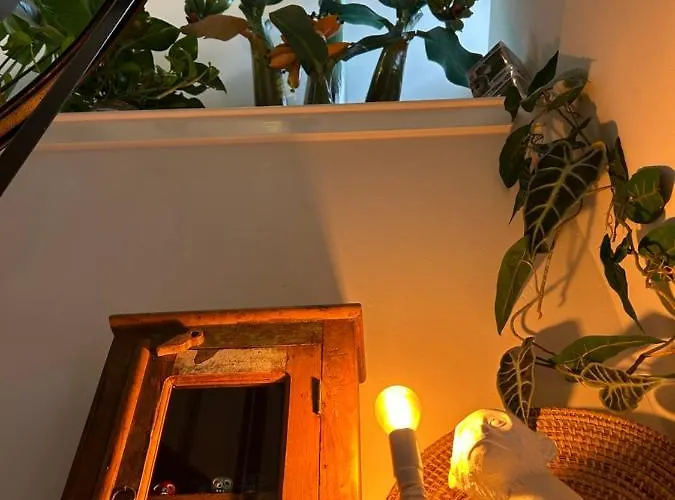 Monkey Tree Affittacamere Schiedam