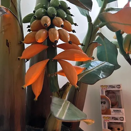Monkey Tree *